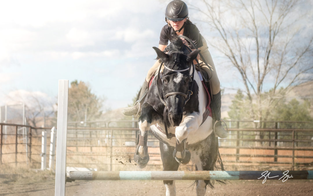 Horse Jumpers – Utah Action Equestrian Photographer