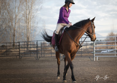 Utah_Equestrian_Photo-19